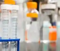 Drug Testing