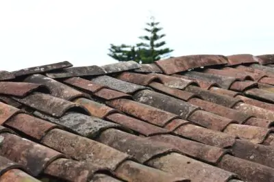 Commercial Roof