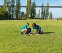 Sod Installation