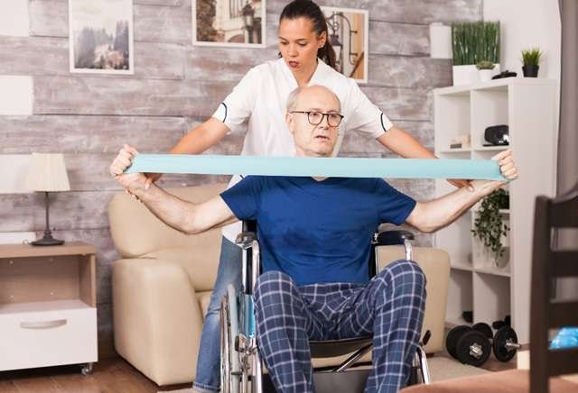 Physical Therapist